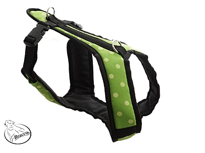 BRACCO dog harness ACTIVE, green / spot - various sizes.