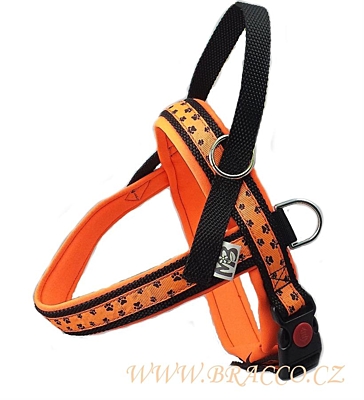 Bracco Norwegian harness, orange - different sizes.