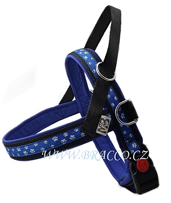 Bracco Norwegian harness, blue - different sizes.